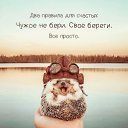 ���� �������, ������������, 62 ���� - ��������� 7 ���� 2026