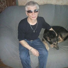 , 53 , 