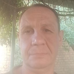 �������, ������, 49 ���