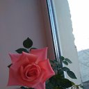  , , 40  -  1  2024    