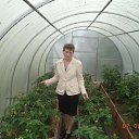 ���� ���������� �, �������, 62 ���� - ��������� 28 ��� 2025 � ������ ���� ����������