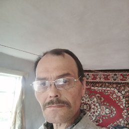 , 49 , 