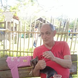 , 68, 