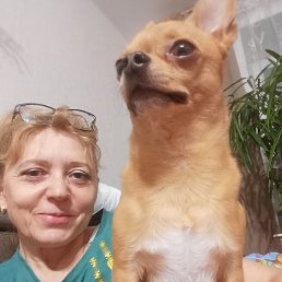 , 52, 
