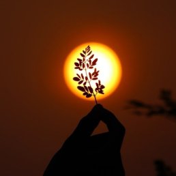 ����, �������, 37 ���