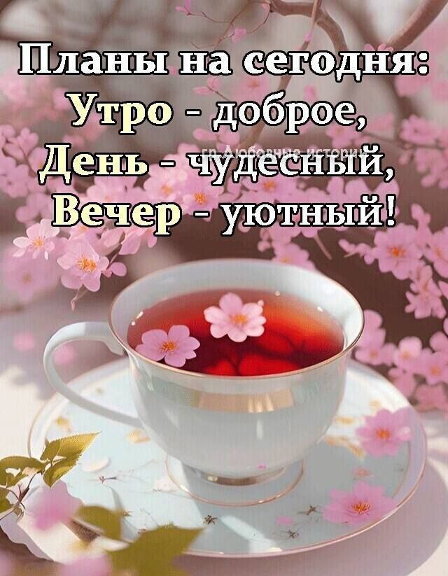 Lyubov Gilyazova - 3  2025  09:01