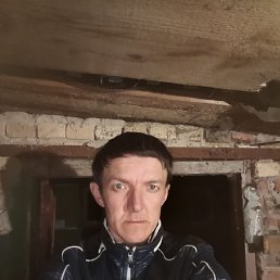 , 41, 
