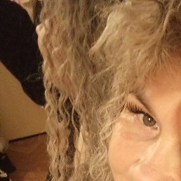 ����, ������, 41 ���