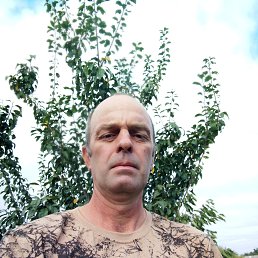 , 49, 
