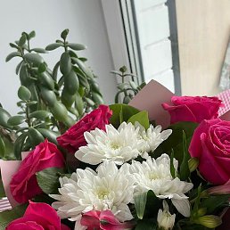 ���, ������-���, 38 ���