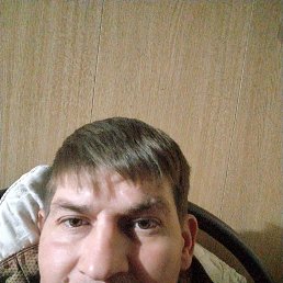 , 37, 