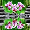 ���� ��������, ������, 30 ��� - ��������� 24 ��� 2024 � ������ ���� ����������