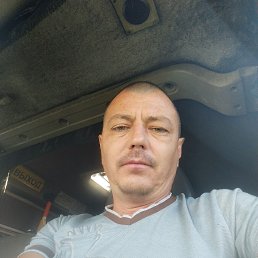 , 43, 