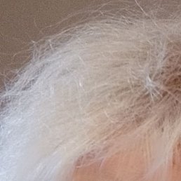, 64, 