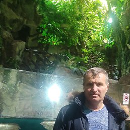 ���� ����, �����������, 66 ��� - ��������� 28 ������� 2023