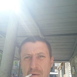 , 37, 