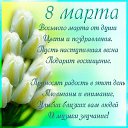 ���� �����, ������� - ��������� 8 ����� 2026 � ������ ������ ��������