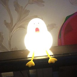 ������, ��������, 37 ���