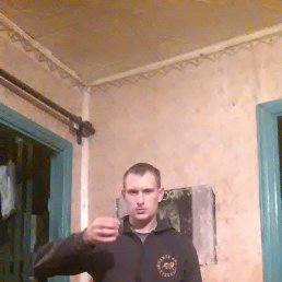 , 29, 