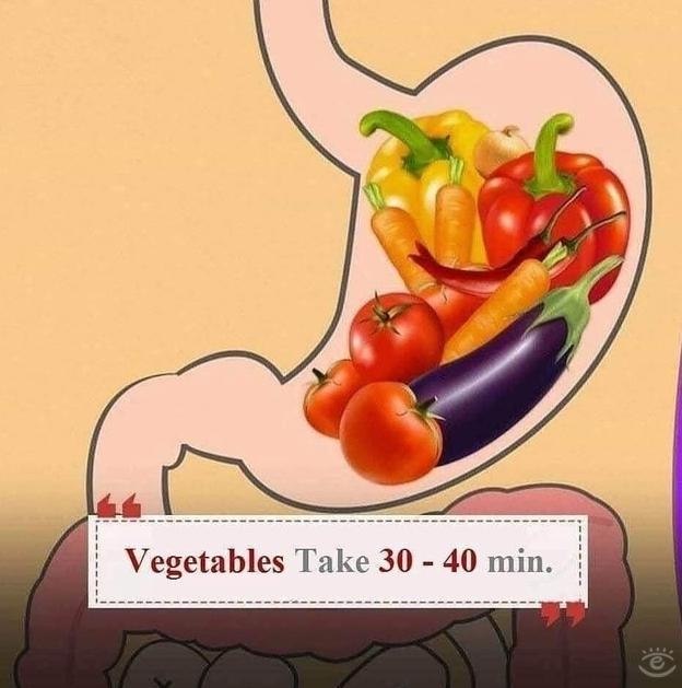 �� ����� o� ���� ������? - 3