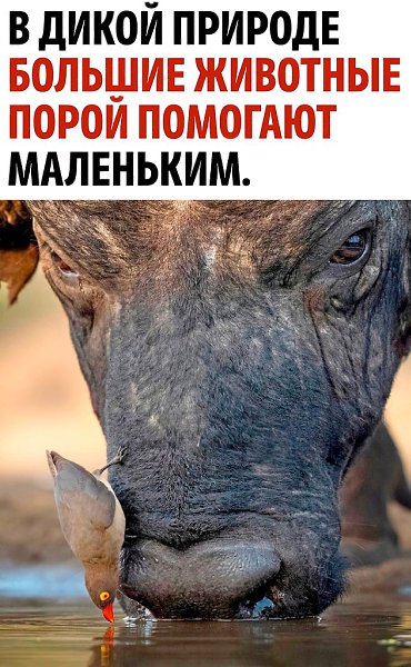 � ���� ��������� ���� ����� ���������