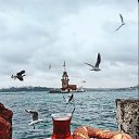 ���� ��������, ������� - ��������� 1 ������� 2024 � ������ ������ ��������