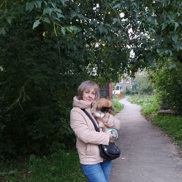 , 54, 