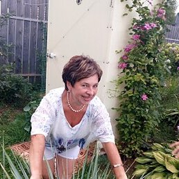 ������, ������ ��������, 61 ���