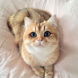 Dima, �����, 28 ���