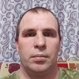 ����, ������, 41 ���