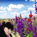 ���� ���, ������, 52 ���� - ��������� 5 ������� 2023