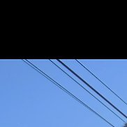 ������, 41 ���, ���������