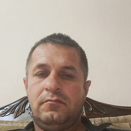 , 40, 