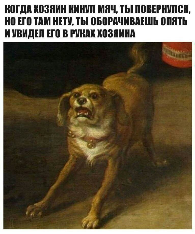    - 1  2023  20:15