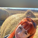 ���� �������, ������ ��������, 41 ��� - ��������� 31 ������ 2026