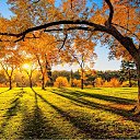 ���� ����, ������� - ��������� 29 ������� 2023 � ������ ������ ��������