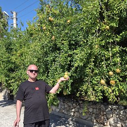 ���� ������, �����������, 47 ��� - ��������� 28 �������� 2025