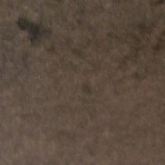 , 43 , 