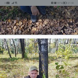 ���� ����, ����, 39 ��� - ��������� 9 ������� 2025