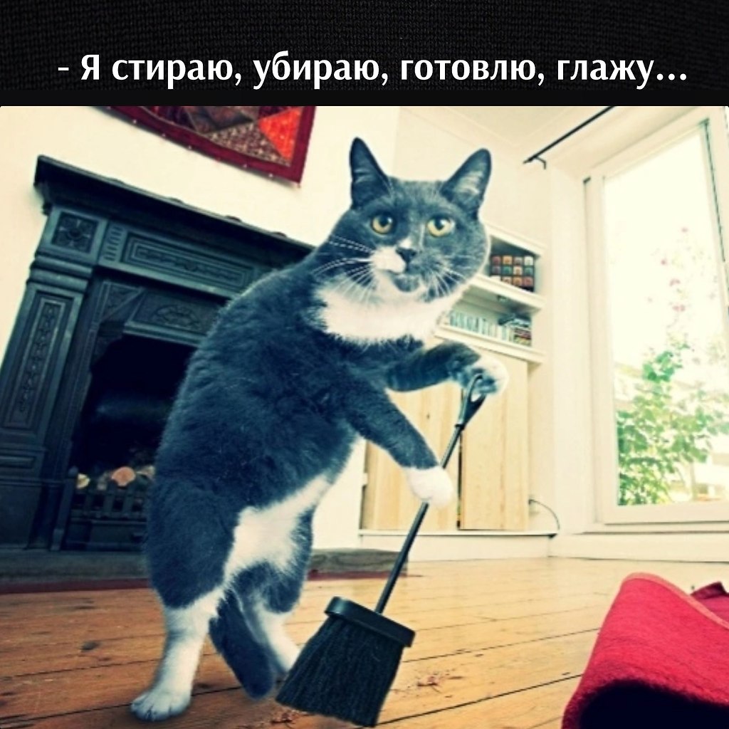       - 3  2025  12:40