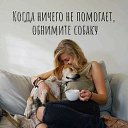 ���� ����, ��������, 63 ���� - ��������� 14 ������� 2026 � ������ ������ ��������