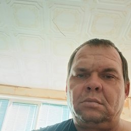 , 41 , 
