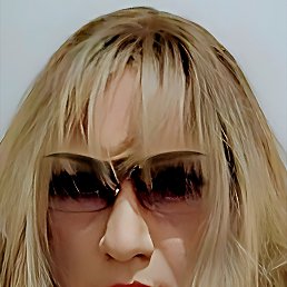 ���� �����, �����, 44 ���� - ��������� 19 ������ 2026