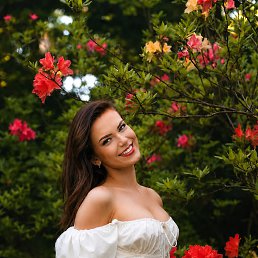 ���� �������, ������ - ��������� 11 ������� 2026