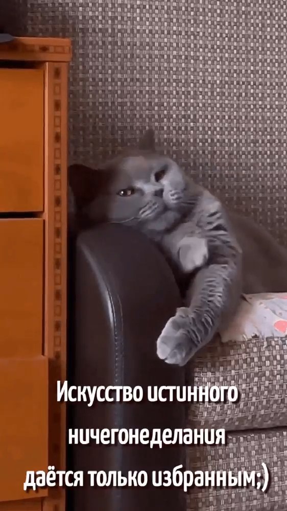   - 1  2025  07:51