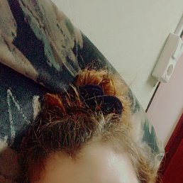 , 42, 