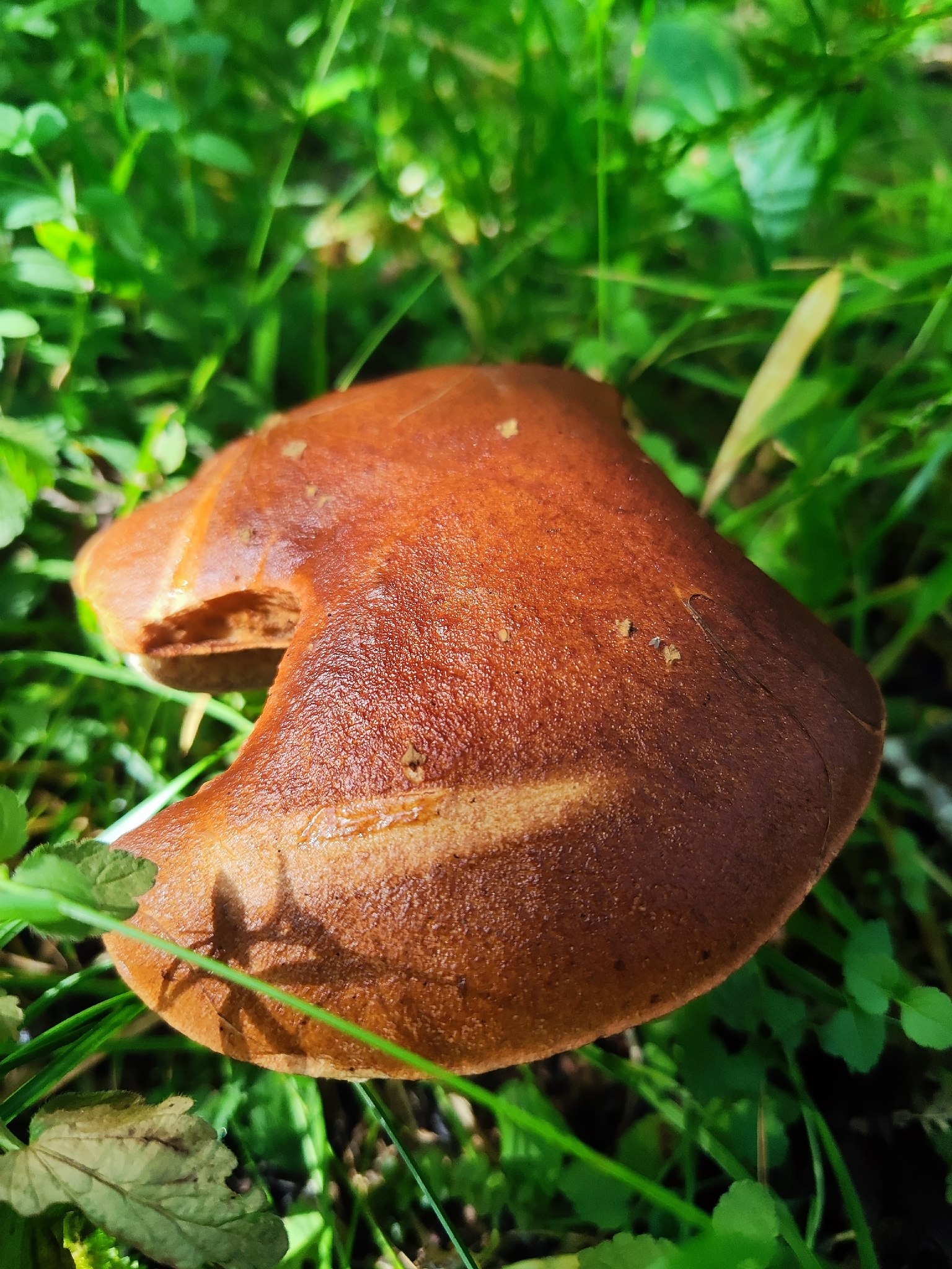   - 3  2025  14:49 - 8