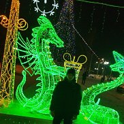 �����, 25 ���, ���������