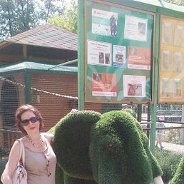 �������, ������, 57 ���