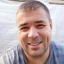 ����� �������, �����-���������, 43 ����